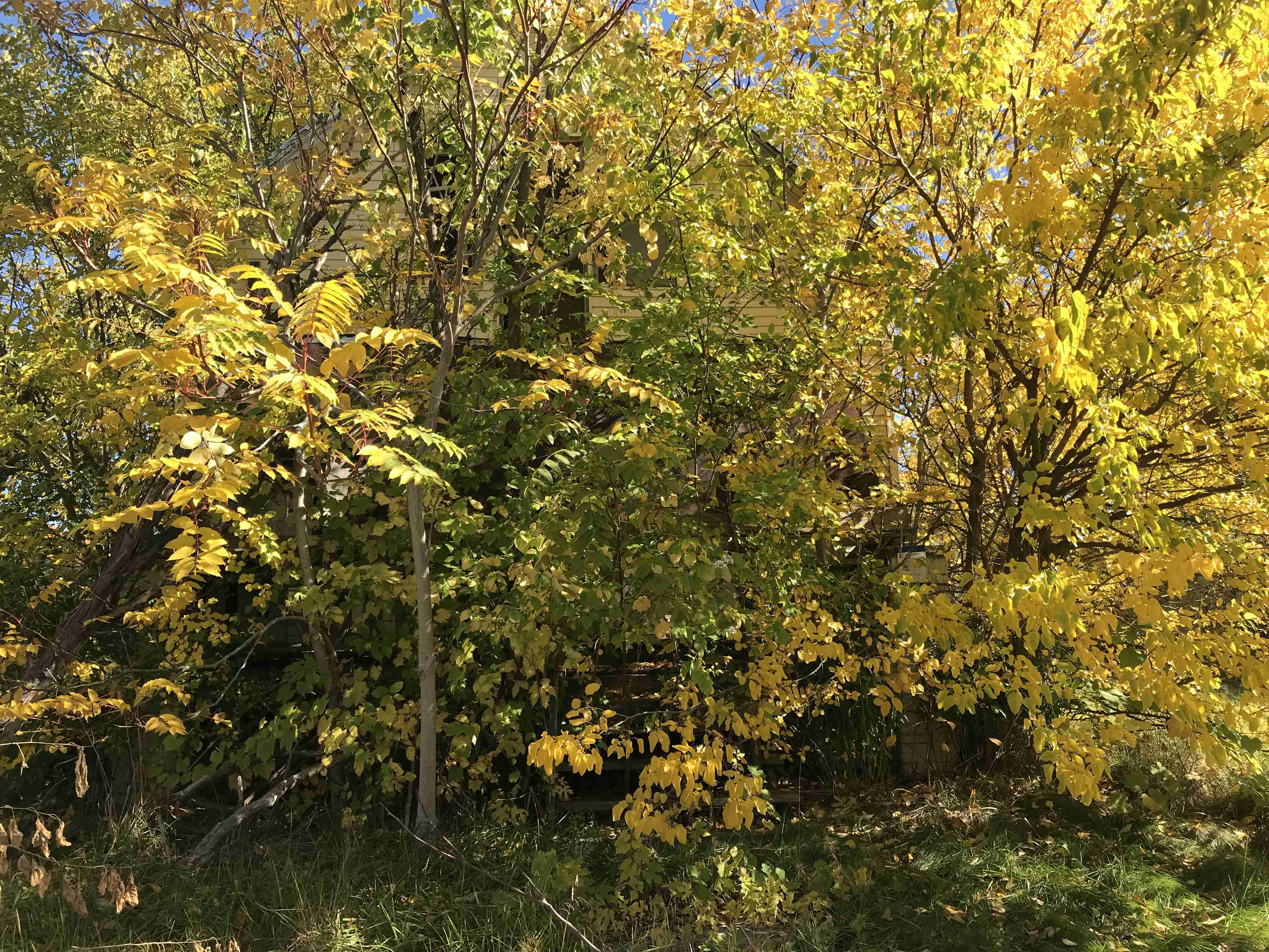 Photo Oct 13, 12 12 49 PM.jpg